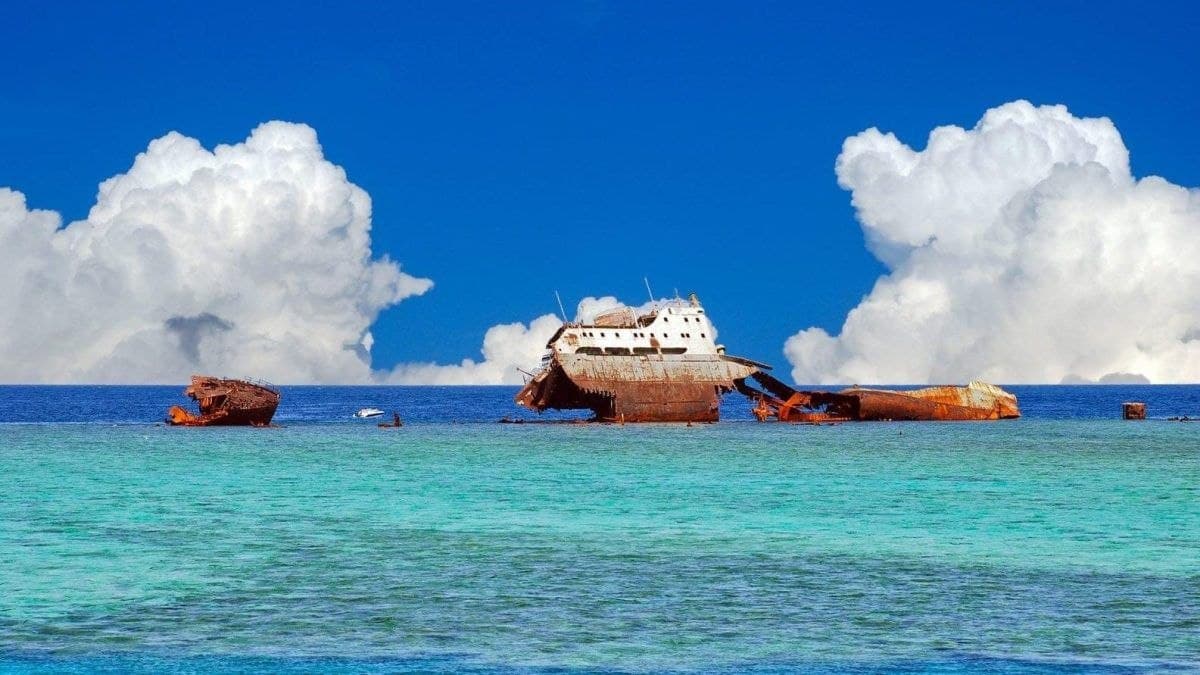 Sea Trip – Tiran Island